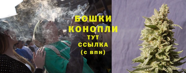 прущая мука Богородицк