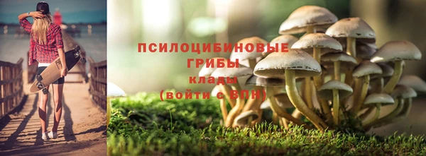 mdpv Богородск